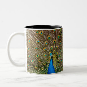 Tasse 2 Couleurs Peacock Motif Peacock Artisanat Peacock Peinture A