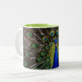 Tasse 2 Couleurs Peacock Peacecock 11oz (Devant gauche)