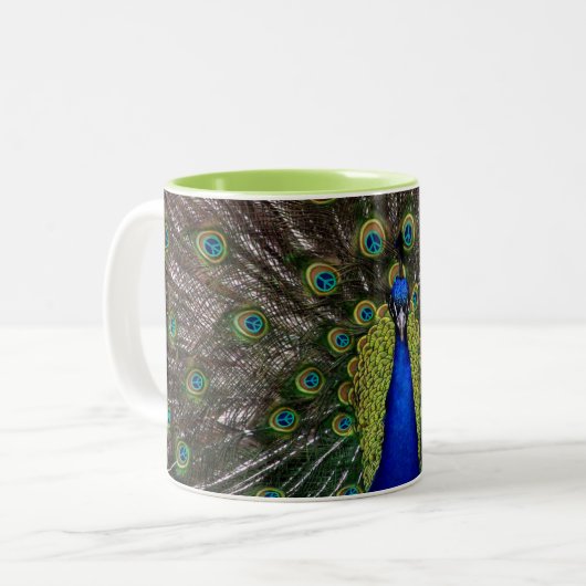 Tasse 2 Couleurs Peacock Peacecock 11oz (Devant gauche)