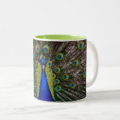 Tasse 2 Couleurs Peacock Peacecock 11oz (Devant droit)