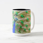 Tasse 2 Couleurs Peacock Plumage (Devant droit)