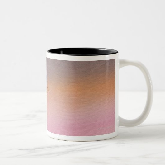 Tasse 2 Couleurs Peignant dépeindre le papillon en vol (Droit)
