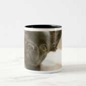 Tasse 2 Couleurs Peki-Français (Centre)