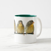Tasse 2 Couleurs Pekin Robins (Devant droit)
