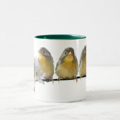 Tasse 2 Couleurs Pekin Robins (Centre)