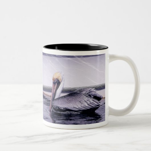 Tasse 2 Couleurs Pelican Gliding (Droit)