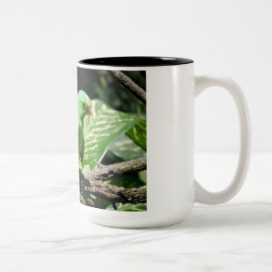 Tasse 2 Couleurs Perroquet à ailes rouges sur le membre de l'arbre