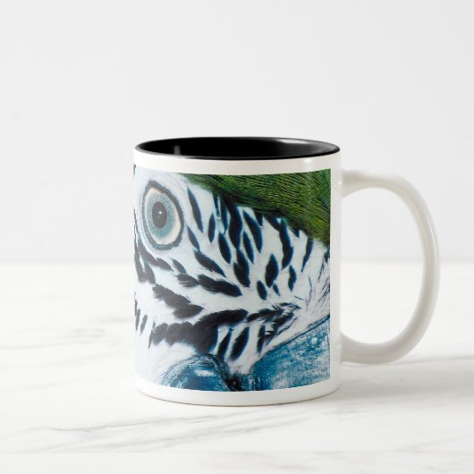 Tasse 2 Couleurs Perroquet bleu (Droit)
