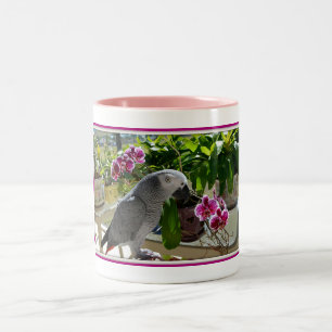 Tasse 2 Couleurs Perroquet de gris africain avec des orchidées