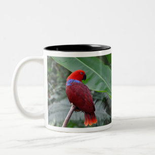 Tasse 2 Couleurs Perroquet éclectique rouge