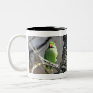 Tasse 2 Couleurs Perruche