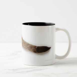Tasse 2 Couleurs Petit animal de lion (Panthera Lion) contre le
