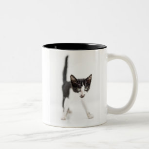 Tasse 2 Couleurs Petit chat