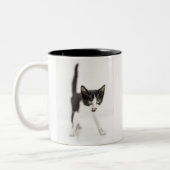 Tasse 2 Couleurs Petit chat (Gauche)