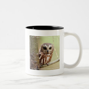 Tasse 2 Couleurs Petit hibou de bébé Ontarios