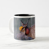 Tasse 2 Couleurs Petit poulet des Prairies, Tympanuchus (Devant gauche)