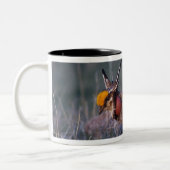 Tasse 2 Couleurs Petit poulet des Prairies, Tympanuchus (Gauche)