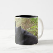 Tasse 2 Couleurs petit renard (Devant droit)