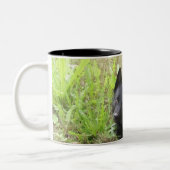 Tasse 2 Couleurs petit renard (Gauche)