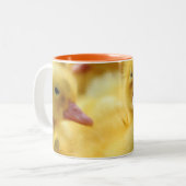 Tasse 2 Couleurs Petits canards (Devant gauche)