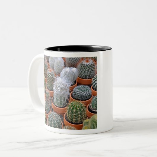 Tasse 2 Couleurs Petits plantes de cactus (Devant gauche)