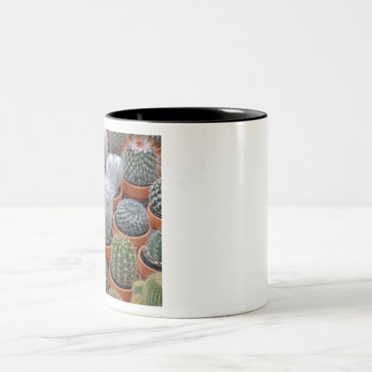 Tasse 2 Couleurs Petits plantes de cactus (Centre)