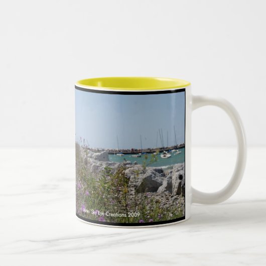 Tasse 2 Couleurs Petoskey Michigan (Droit)