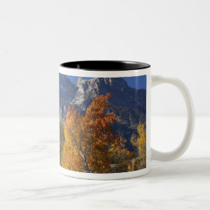 Tasse 2 Couleurs Peupliers faux-trembles avec la chaîne de montagne