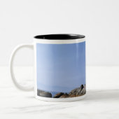 Tasse 2 Couleurs Phare de Fisgard dans le Fort Rodd Hill (Gauche)