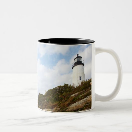 Tasse 2 Couleurs Phare de point de Pemaquid sur Hillside rocheux (Droit)