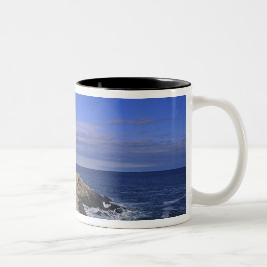 Tasse 2 Couleurs Phare de Portland Head Maine (Droit)
