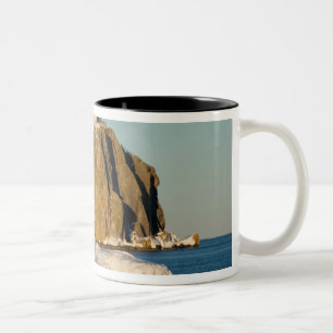 Tasse 2 Couleurs Phare de Split Rock Lighthouse State Park sur le l