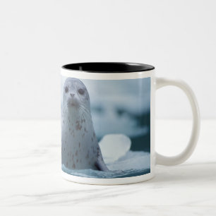 Tasse 2 Couleurs phoque commun du pacifique, Phoca vitulina richard