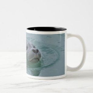 Tasse 2 Couleurs Phoque commun nageant dans le lac glaciaire Jokuls