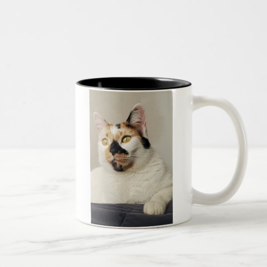 Tasse 2 Couleurs Photo de Best Cat Mom (Droit)