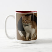 Tasse 2 Couleurs Photo de chat roux Texte (Gauche)