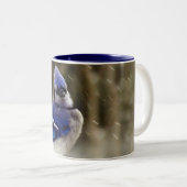 Tasse 2 Couleurs Photo de geai bleu (Devant droit)