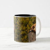 Tasse 2 Couleurs photo fox dormant (Devant droit)