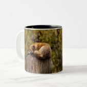 Tasse 2 Couleurs photo fox dormant (Devant gauche)