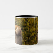 Tasse 2 Couleurs photo fox dormant (Centre)
