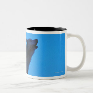 Tasse 2 Couleurs Photo, loup blanc hurlant la nuit, couleur, haut