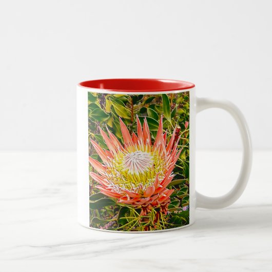 Tasse 2 Couleurs Photographie de fleurs australiennes de Protea (Droit)