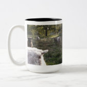 Tasse 2 Couleurs Photographier les moutons (Gauche)