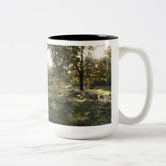 Tasse 2 Couleurs Photographier les moutons (Droit)