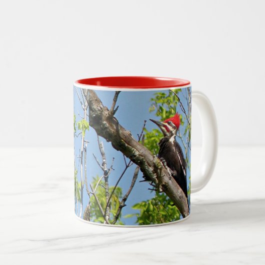 Tasse 2 Couleurs Pic pilé (Devant droit)