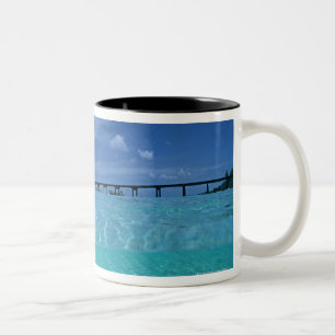 Tasse 2 Couleurs Pilier 3 d'atterrissage