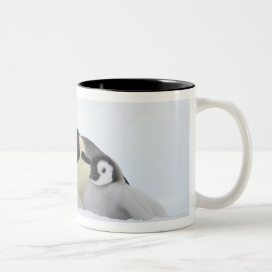 Tasse 2 Couleurs Pingouin d'empereur (forsteri d'Aptenodytes) 2 (Droit)