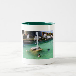 Tasse 2 Couleurs Pingouins Humboldt et fontaines
