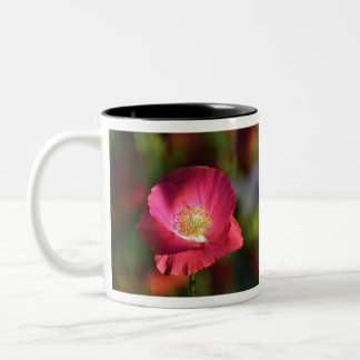 Tasse 2 Couleurs Pink poppy in the Sunshine Photographe