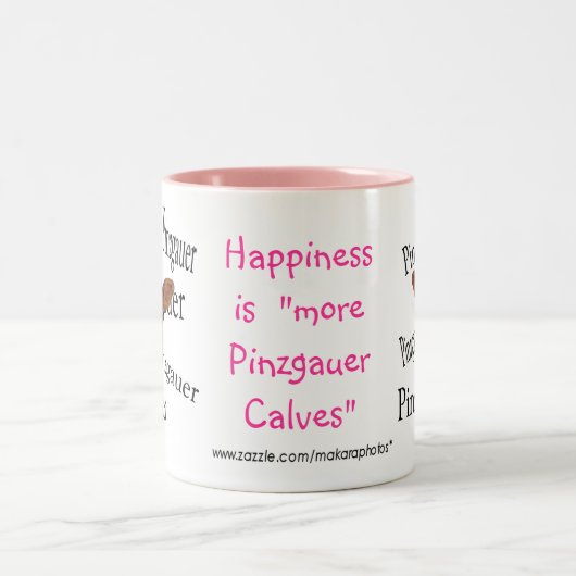 Tasse 2 Couleurs PinzDB-Tasse-Customizeq (Centre)